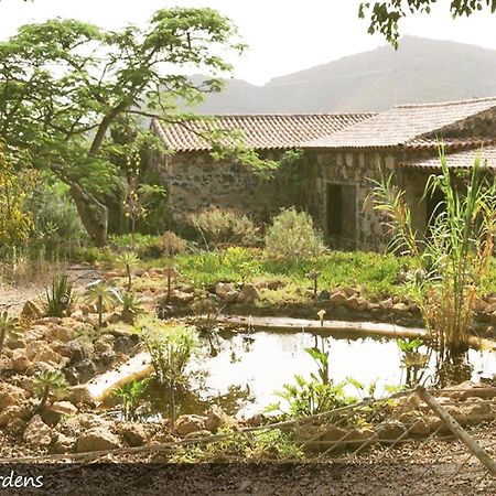 Live Finca San Miguel San Miguel de Abona Eksteriør billede