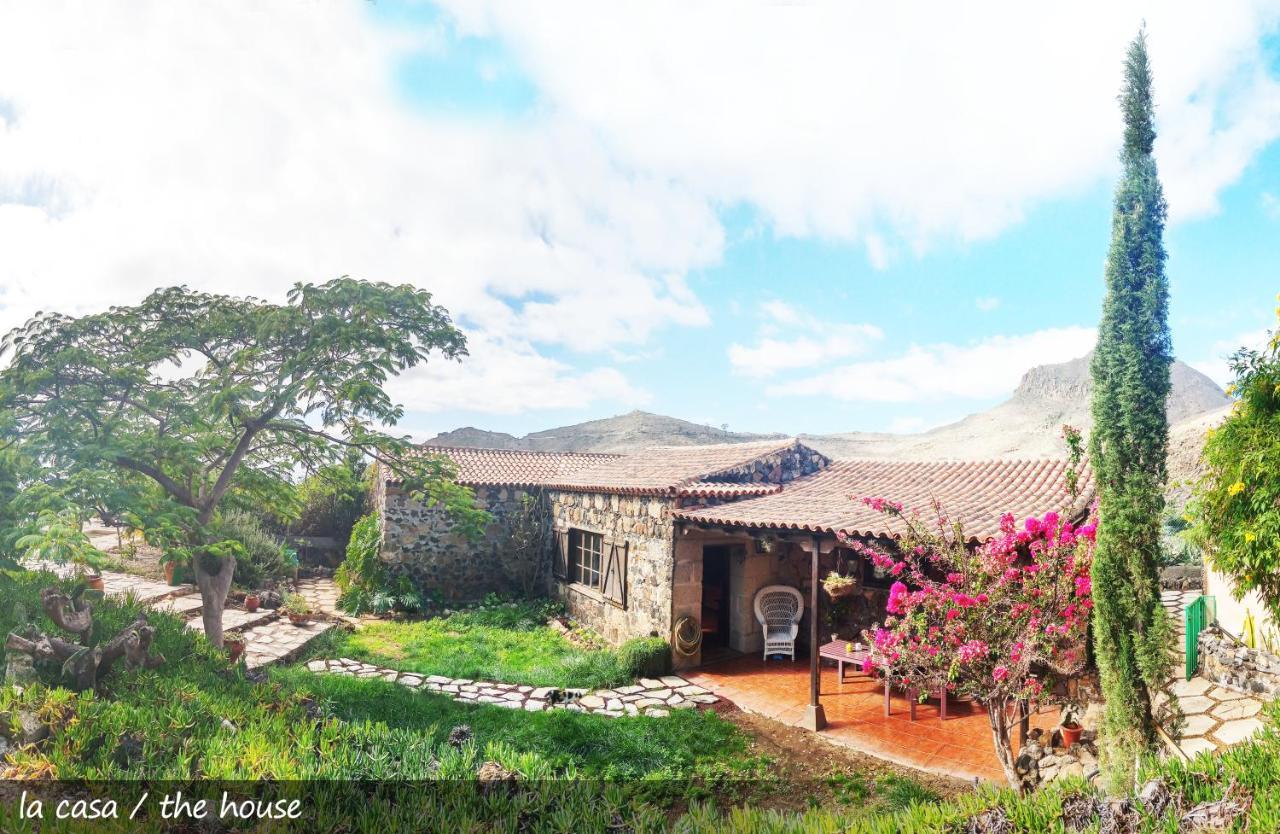Live Finca San Miguel San Miguel de Abona Eksteriør billede
