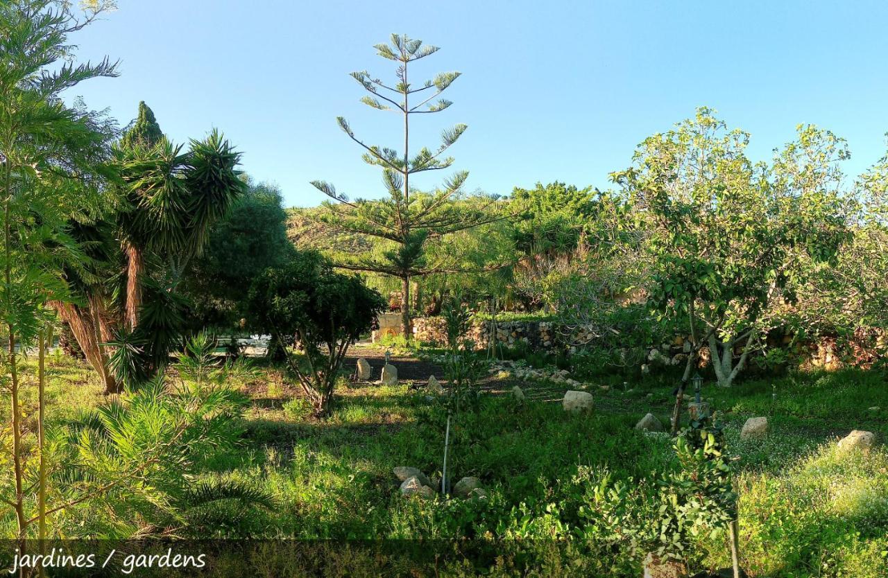 Live Finca San Miguel San Miguel de Abona Eksteriør billede